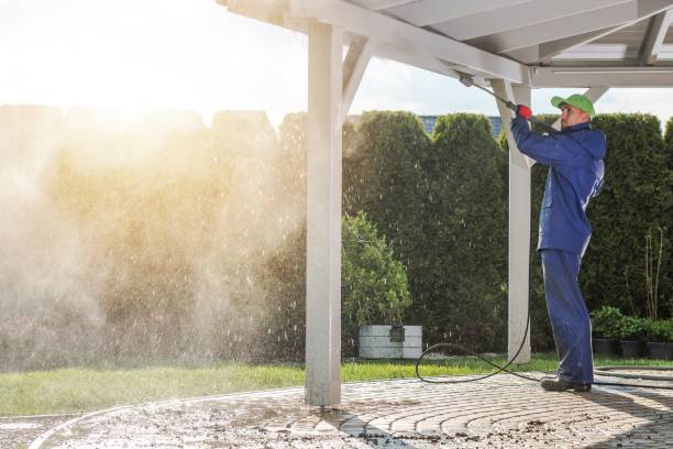 Best Graffiti Removal  in Gun Barrel City, TX